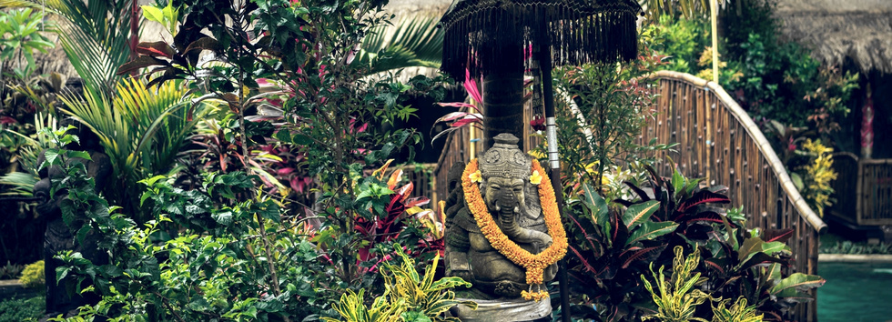 Floral and Plant Areas – CELLYPSO