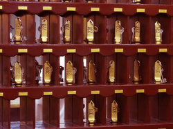 Front Office - CELLYPSO